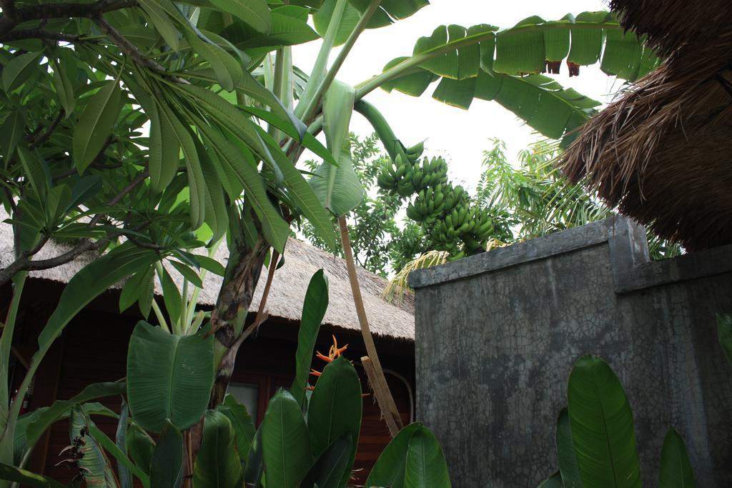 Guava Garden Hotell Gili Trawangan Eksteriør bilde